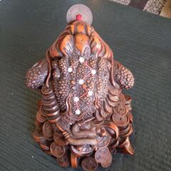 銭蛙の画像