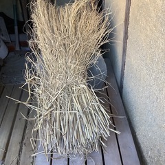 藁の画像