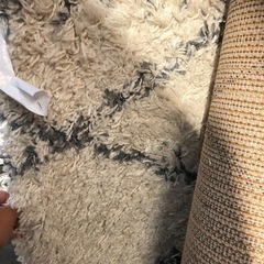 新品！カーペットの画像