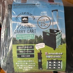 折りたたみキャリーカートの画像
