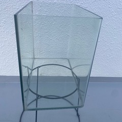 水槽（受付中）の画像