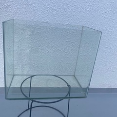 水槽（受付中）の画像
