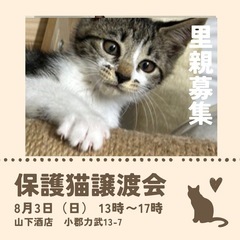 おひざに乗ってくる甘えん坊な女の子🩷おぱんちゅちゃん