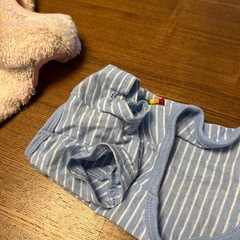 ワンチャン洋服の画像