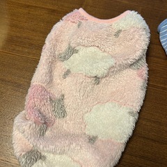 ワンチャン洋服の画像