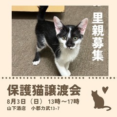 ワンコみたいに寄ってくる甘えん坊🐾