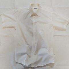 メンズ礼服セットの画像