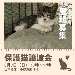 ちょっと臆病な男の子