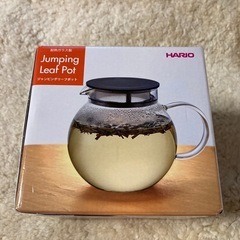 HARIO ジャンピングリーフポット JPL-60 600ml 新品未使用④の画像