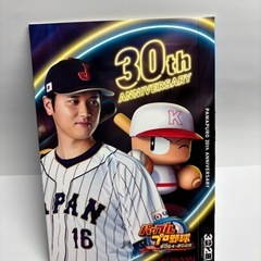 パワフルプロ野球2004-2005（Switch用）の画像