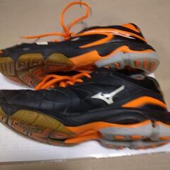 Mizunoバレーボールシューズの画像