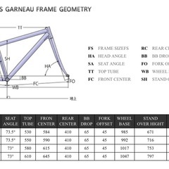 LOUIS GARNEAU RSR-2 2009の画像