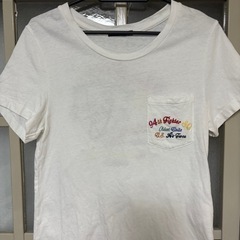 レディース　Tシャツ③の画像