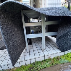 洗濯済み！丈夫なカーペットの画像