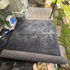 洗濯済み！丈夫なカーペットの画像