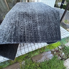 洗濯済み！丈夫なカーペットの画像