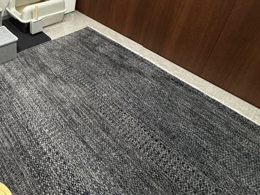 洗濯済み！丈夫なカーペット