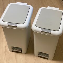 2WAYペダルペール　30L  二個の画像