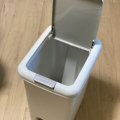 2WAYペダルペール　30L  二個の画像