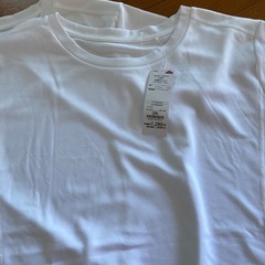 レディースLLサイズ、ドライTシャツ2枚セットの画像