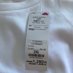 レディースLLサイズ、ドライTシャツ2枚セットの画像