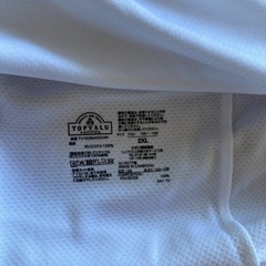 レディースLLサイズ、ドライTシャツ2枚セットの画像