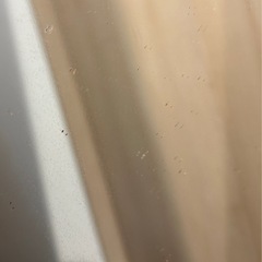 姿見の画像