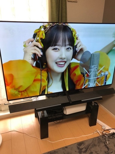 焼き付き有】panasonic 有機ELテレビ65インチ2017年製 (nito