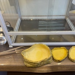 【値下げしました】爬虫類飼育セットの画像
