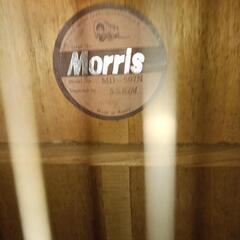 Morris　モーリス　アコギの画像