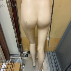 【アパレル什器】【下半身トルソー】【下半身ボディ】の画像