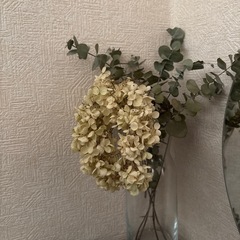 アナベルのドライフラワー
の画像