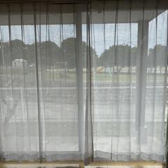 高さ２メートルの画像
