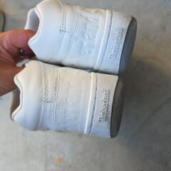（商談中）Timberlandの画像