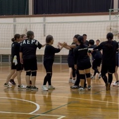 毎週土曜日に一緒にバレーボールしませんか！(ママさんバレー、メンズも募集) - 糸島市