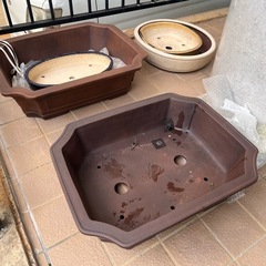 盆栽鉢の画像