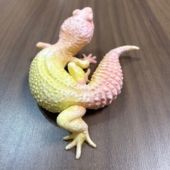レオパードゲッコー　ブリザード　フィギュア　の画像