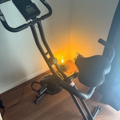 STEADY フィットネスバイク 心拍数計測 折りたたみ式 背もたれ付き 静音 小型 STEADY(ステディ) ST120 エアロバイクの画像