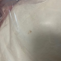【プライズ】おにぎり ぬいぐるみ BIGの画像