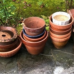 【お取引調整中】植木鉢いろいろ の画像