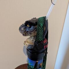 USJジュラシック・パーク　ドリンクボトルの画像