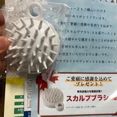 ニューZの画像