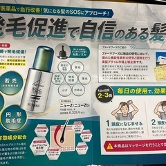 ニューZの画像