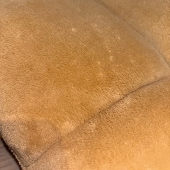 座椅子の画像