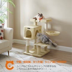 キャットタワー広い見晴台付き低めの設計でシニア猫、短足猫ちゃんにおすすめの画像