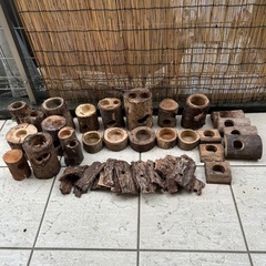中古昆虫飼育用品、飼育ケース、止まり木、昆虫マット、昆虫ゼリーの画像