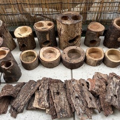 中古昆虫飼育用品、飼育ケース、止まり木、昆虫マット、昆虫ゼリーの画像