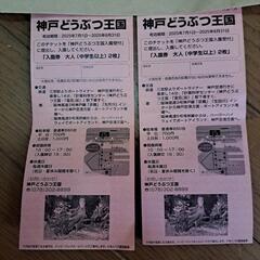 神戸どうぶつ王国　チケット　大人2名分×2枚の画像