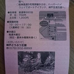 神戸どうぶつ王国　チケット　大人2名分×2枚の画像