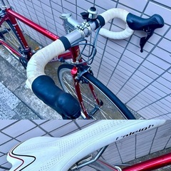  RALEIGH【ラレー】 2020 CARLTON-A RED 450サイズ　クロモリ　の画像